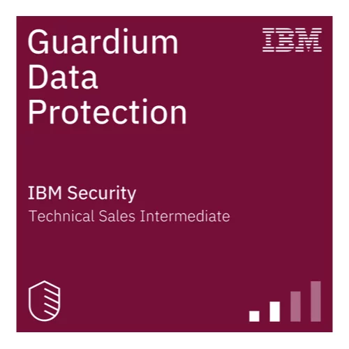 Logo IBM partner
